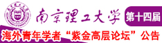 长滨祢留操逼视频南京理工大学第十四届海外青年学者紫金论坛诚邀海内外英才！